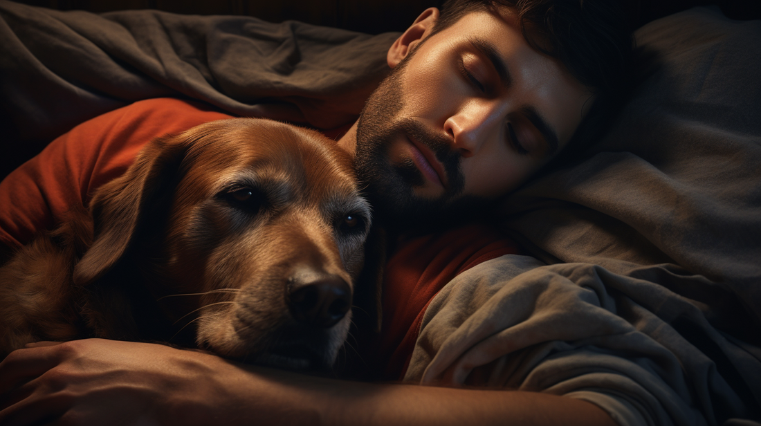 a dog and owner asleep in bed on a mattress from Sleepology
