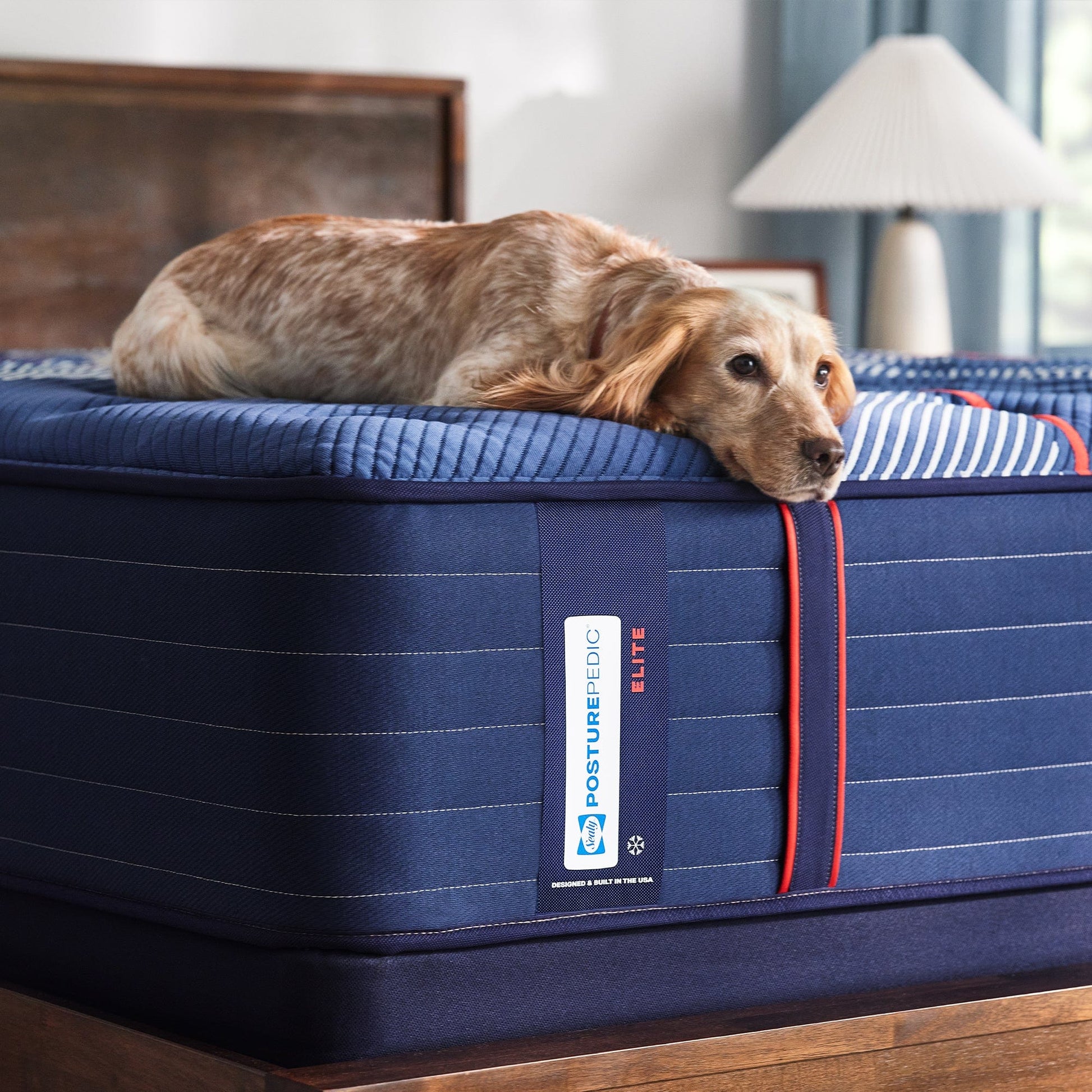Sealy Mattress Sealy Posturepedic Elite Firm Mattress – Albany II mattress stores near me