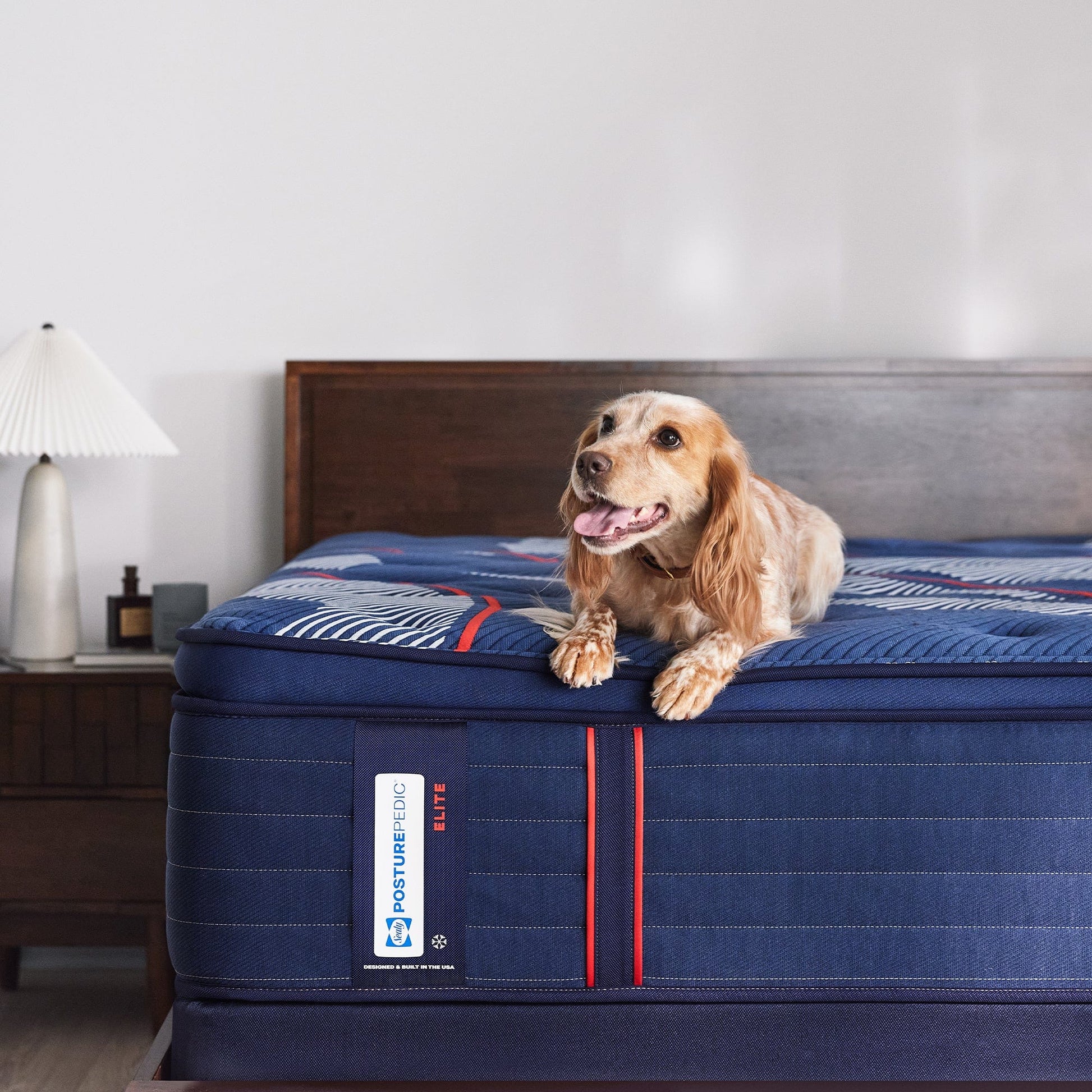 Sealy Mattress Sealy Posturepedic Elite Soft Mattress – Albany II Euro Pillow Top mattress stores near me