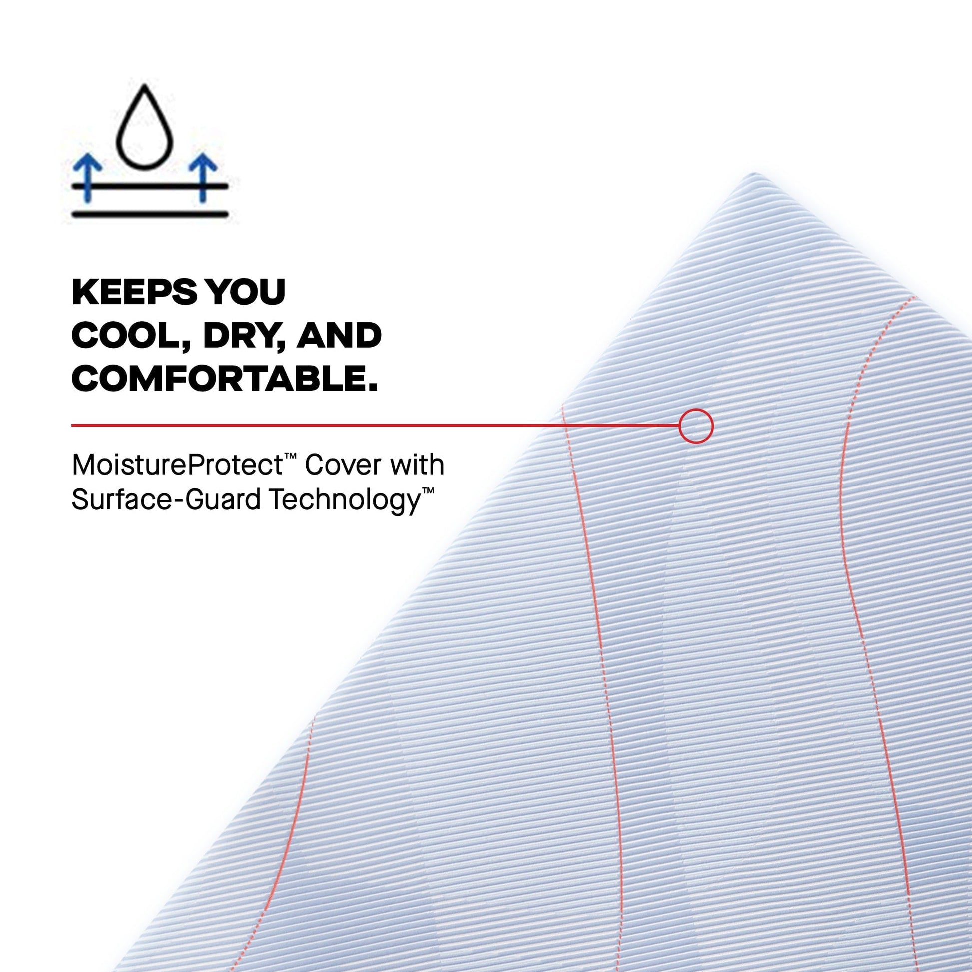Sealy Mattress Sealy Posturepedic Medium Hybrid Mattress – Medina II mattress stores near me