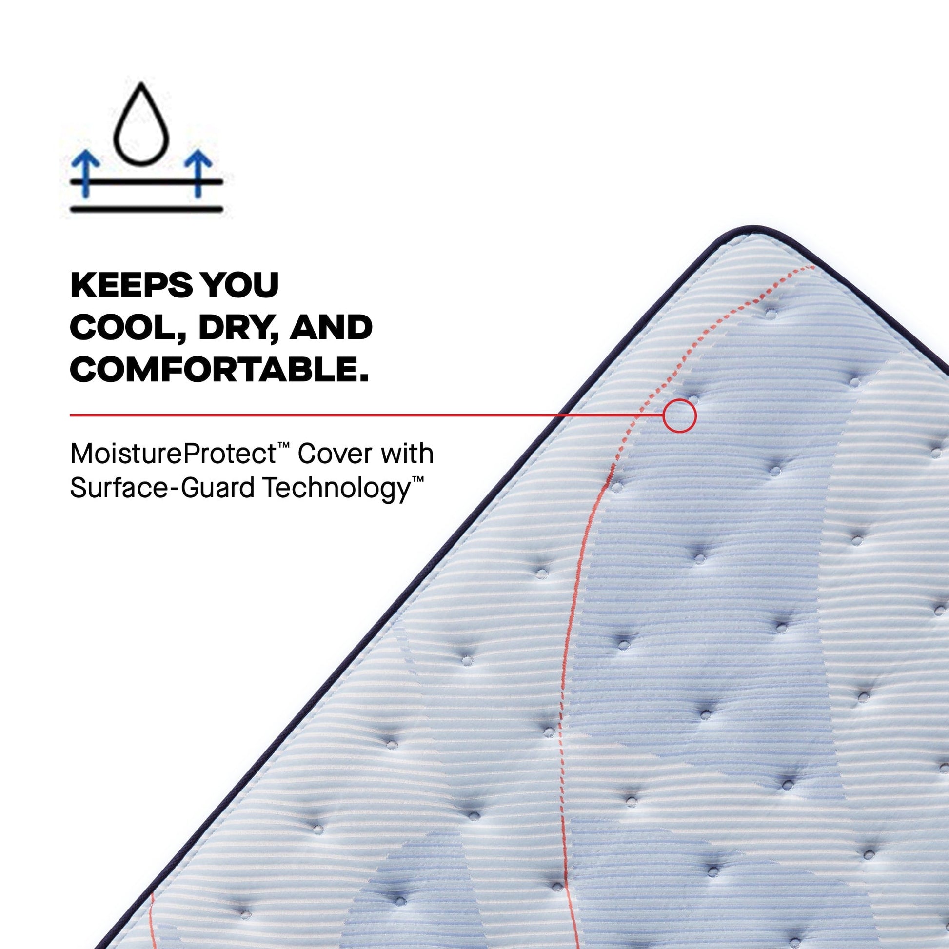 Sealy Mattress Sealy Posturepedic Plus Soft Mattress – Patterson II mattress stores near me