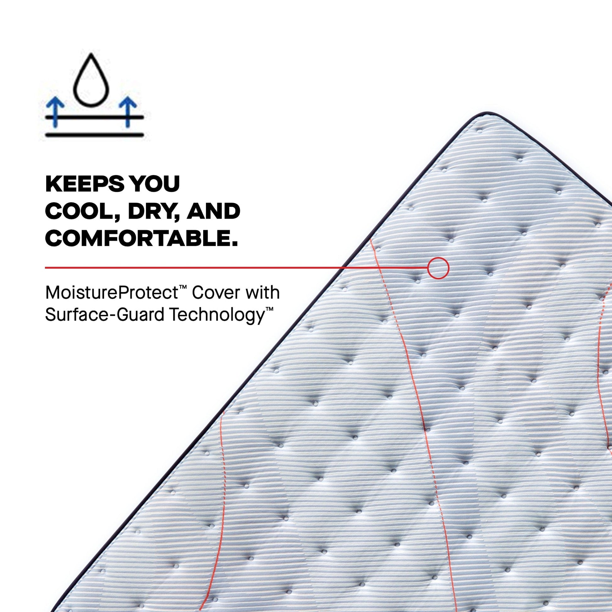 Sealy Mattress Sealy Posturepedic Soft Mattress – Medina II Euro Pillow Top mattress stores near me