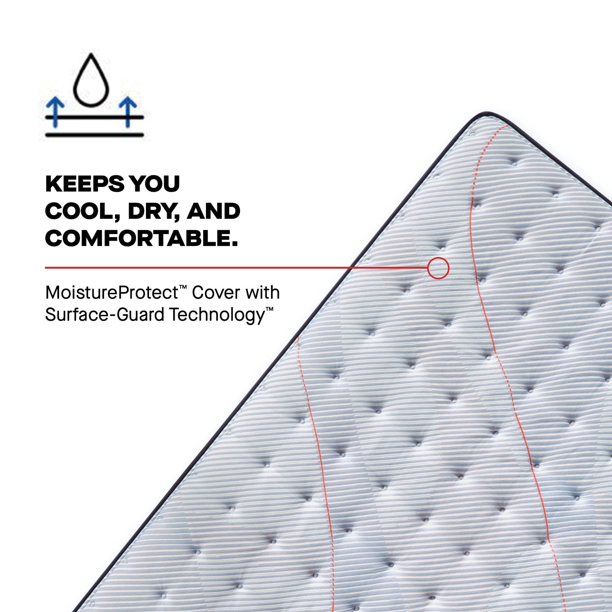Sealy Mattress Sealy Posturepedic Soft Mattress – Medina II Tight Top mattress stores near me