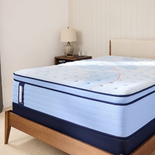 Sealy Mattress Twin Sealy Posturepedic Plus Soft Mattress – Paterson II Euro Pillow Top mattress stores near me
