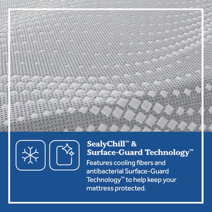 Sealy Mattress Sealy® Posturepedic Lacey Soft Feeling Gel Foam mattress stores near me