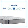 Sealy Mattress Sealy Posturepedic Spring – Red Maple, Medium Tight Top Sleepology mattress Sleep deeper